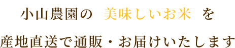 小山農園の  美味しいお米  を産地直送で通販・お届けいたします